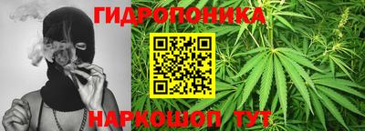 каннабис Кингисепп