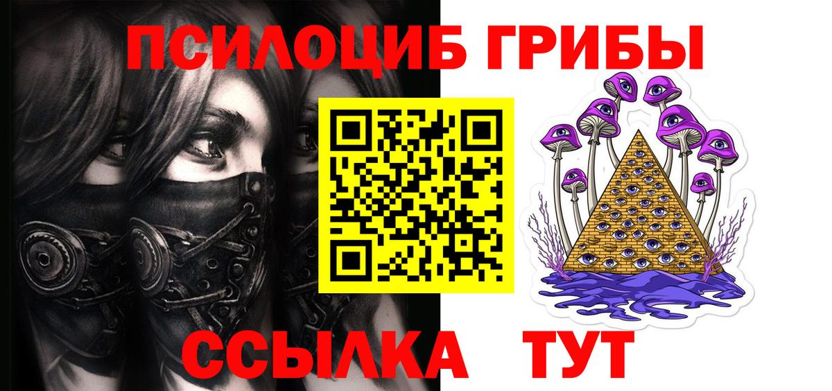 Псилоцибиновые грибы мицелий Котлас