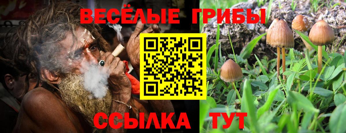 КОКАИН Котлас