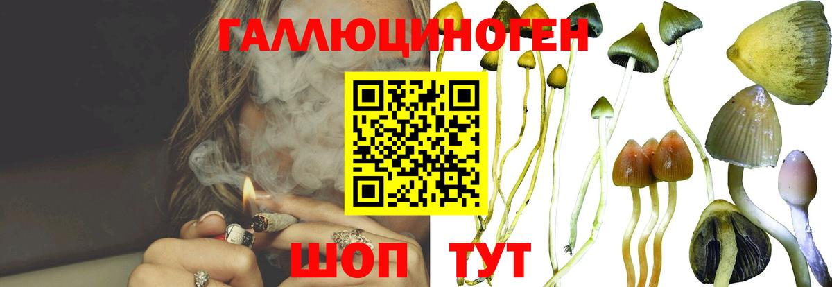 Галлюциногенные грибы MAGIC MUSHROOMS  Галлюциногенные грибы MAGIC MUSHROOMS  Котлас  Вход с VPN 